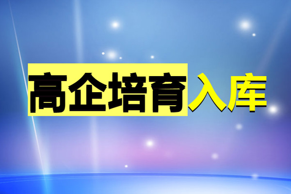 高企培育指導(dǎo)服務(wù)（高新技術(shù)企業(yè)培育入庫(kù)）