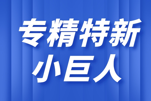 專精特新小巨人