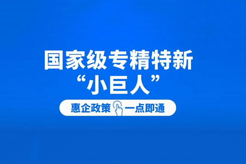 國(guó)家級(jí)專(zhuān)精特新小巨人企業(yè)獎(jiǎng)勵(lì)金額、扶持政策