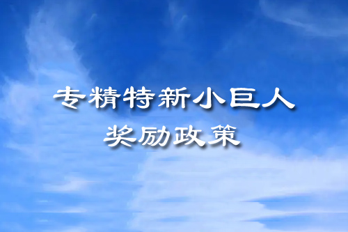 專精特新小巨人獎(jiǎng)勵(lì)政策