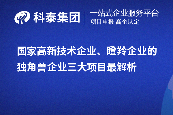 國家高新技術(shù)企業(yè)、瞪羚企業(yè)的獨(dú)角獸企業(yè)三大項(xiàng)目最解析