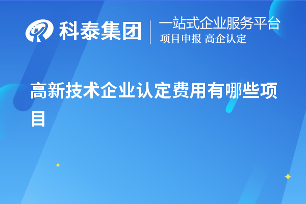 高新技術企業(yè)認定費用有哪些項目