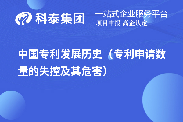 中國(guó)專(zhuān)利發(fā)展歷史（專(zhuān)利申請(qǐng)數(shù)量的失控及其危害）