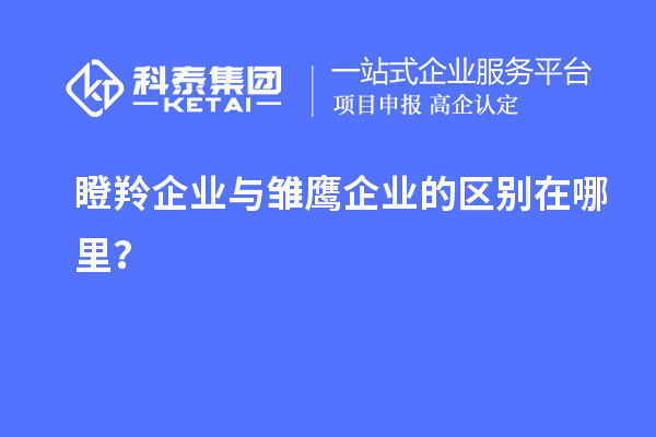瞪羚企業(yè)與雛鷹企業(yè)的區(qū)別在哪里？