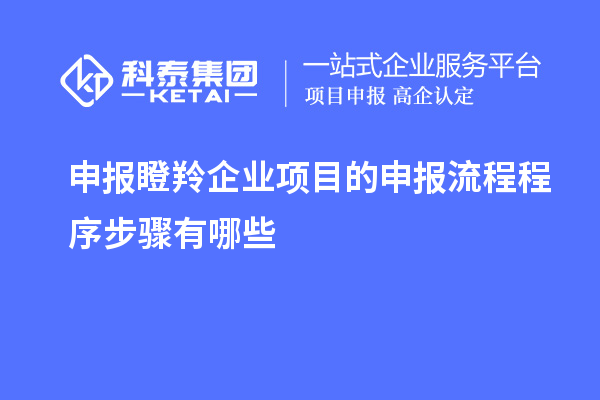 申報瞪羚企業(yè)項(xiàng)目的申報流程程序步驟有哪些