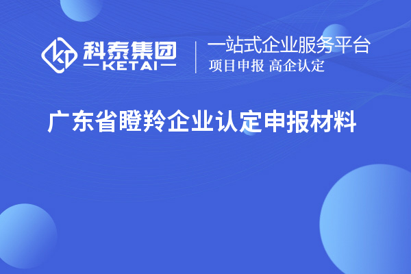 廣東省<a href=http://www.bxlmsc.com/fuwu/dengling.html target=_blank class=infotextkey>瞪羚企業(yè)認(rèn)定</a>申報(bào)材料