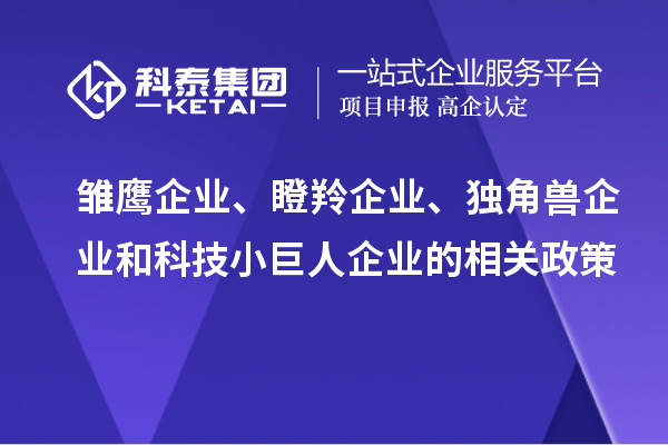 雛鷹企業(yè)、瞪羚企業(yè)、獨角獸企業(yè)和科技小巨人企業(yè)的相關(guān)政策