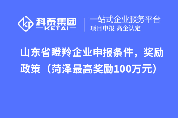 山東省瞪羚企業(yè)申報(bào)條件，獎(jiǎng)勵(lì)政策（菏澤最高獎(jiǎng)勵(lì)100萬元）