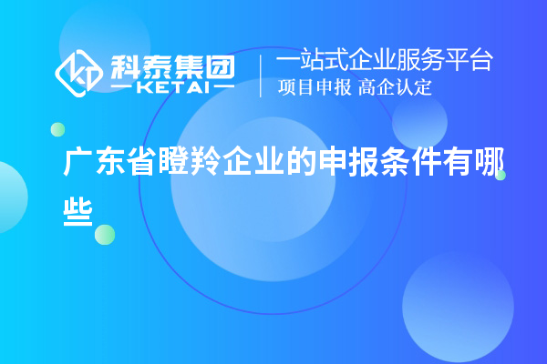 廣東省瞪羚企業(yè)的申報條件有哪些