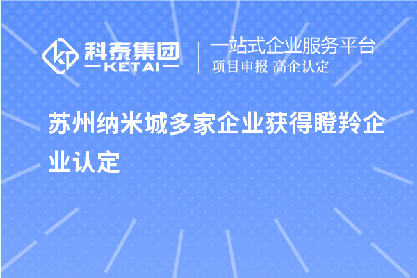 蘇州納米城多家企業(yè)獲得<a href=http://www.bxlmsc.com/fuwu/dengling.html target=_blank class=infotextkey>瞪羚企業(yè)認(rèn)定</a>