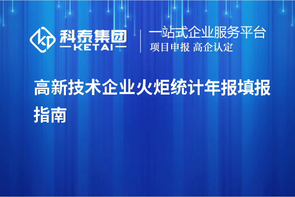 高新技術(shù)企業(yè)火炬統(tǒng)計(jì)年報填報指南