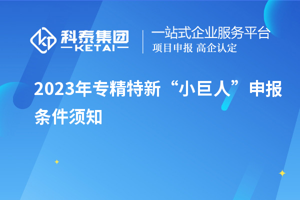 2023年專(zhuān)精特新“小巨人”申報(bào)條件須知