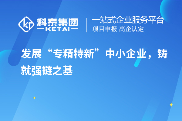 發(fā)展“專精特新”中小企業(yè)，鑄就強鏈之基