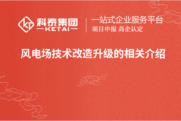 風(fēng)電場技術(shù)改造升級的相關(guān)介紹