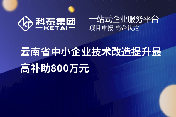 云南省中小企業(yè)技術(shù)改造提升最高補(bǔ)助800萬元