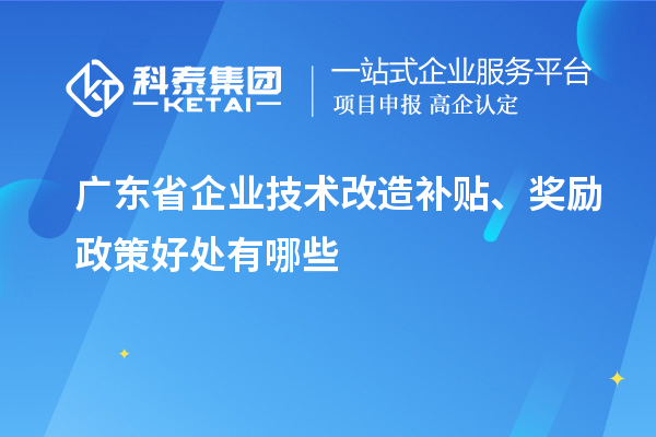 廣東省企業(yè)技術(shù)改造補(bǔ)貼、獎(jiǎng)勵(lì)政策好處有哪些