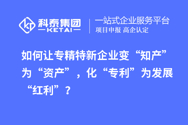 如何讓專精特新企業(yè)變“知產(chǎn)”為“資產(chǎn)”，化“專利”為發(fā)展“紅利”？