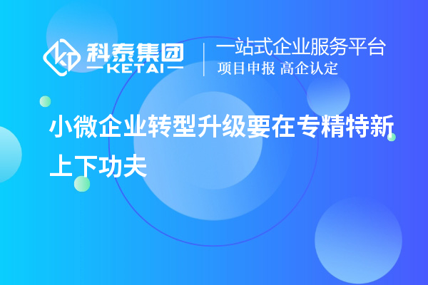 小微企業(yè)轉(zhuǎn)型升級(jí)要在專(zhuān)精特新上下功夫