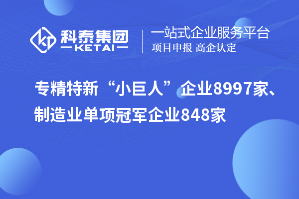 專精特新“小巨人”企業(yè)8997家、制造業(yè)單項(xiàng)冠軍企業(yè)848家