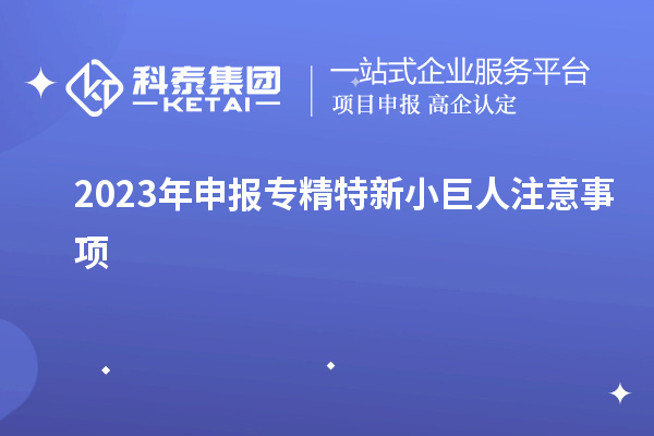 2023年申報(bào)專(zhuān)精特新小巨人注意事項(xiàng)