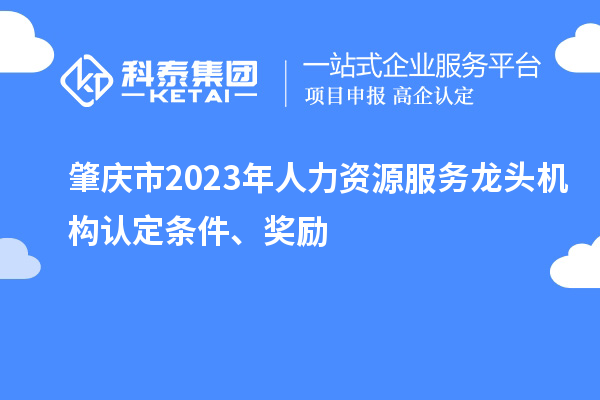 肇慶市2023年人力資源服務(wù)龍頭機構(gòu)認定條件、獎勵