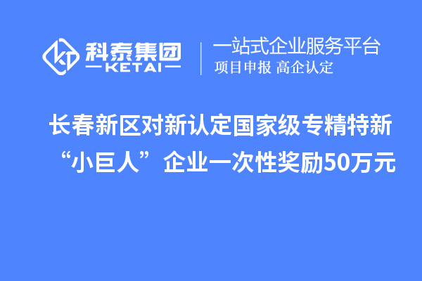 長春新區(qū)對新認定國家級專精特新“小巨人”企業(yè)一次性獎勵50萬元