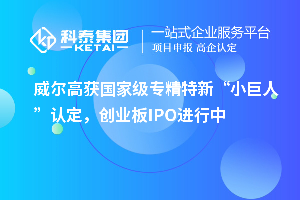 威爾高獲國家級(jí)專精特新“小巨人”認(rèn)定，創(chuàng)業(yè)板IPO進(jìn)行中