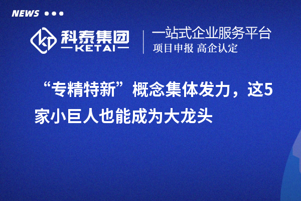 “專精特新”概念集體發(fā)力，這5家小巨人也能成為大龍頭