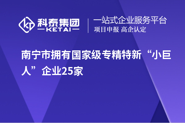 南寧市擁有國家級(jí)專精特新“小巨人”企業(yè)25家