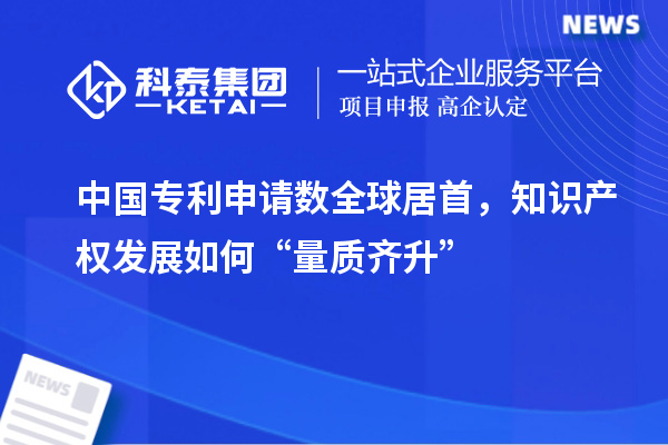 中國專利申請數(shù)全球居首，知識產(chǎn)權(quán)發(fā)展如何“量質(zhì)齊升”