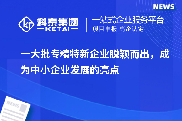 一大批專精特新企業(yè)脫穎而出，成為中小企業(yè)發(fā)展的亮點(diǎn)