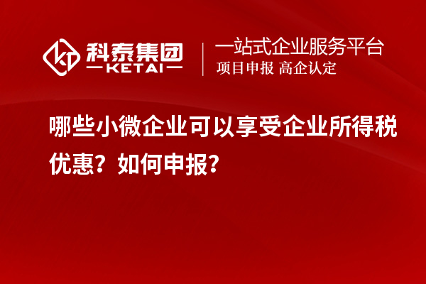 哪些小微企業(yè)可以享受企業(yè)所得稅優(yōu)惠？如何申報(bào)？