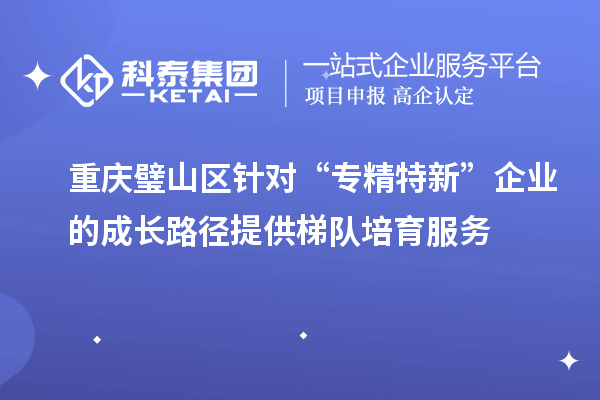 重慶璧山區(qū)針對“專精特新”企業(yè)的成長路徑提供梯隊(duì)培育服務(wù)