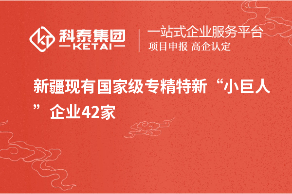 新疆現(xiàn)有國家級(jí)專精特新“小巨人”企業(yè)42家