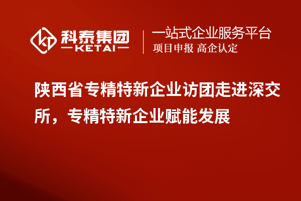 陜西省專精特新企業(yè)訪團(tuán)走進(jìn)深交所，專精特新企業(yè)賦能發(fā)展