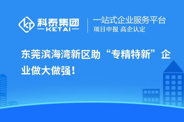 東莞濱海灣新區(qū)助“專精特新”企業(yè)做大做強！