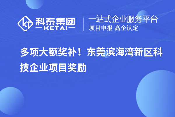 多項(xiàng)大額獎(jiǎng)補(bǔ)！東莞濱海灣新區(qū)科技企業(yè)項(xiàng)目獎(jiǎng)勵(lì)