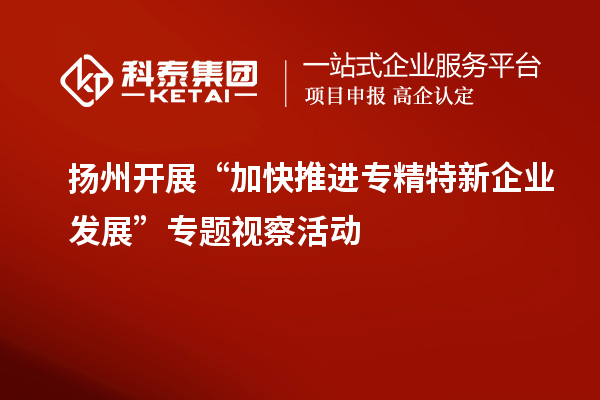 揚(yáng)州開(kāi)展“加快推進(jìn)專精特新企業(yè)發(fā)展”專題視察活動(dòng)