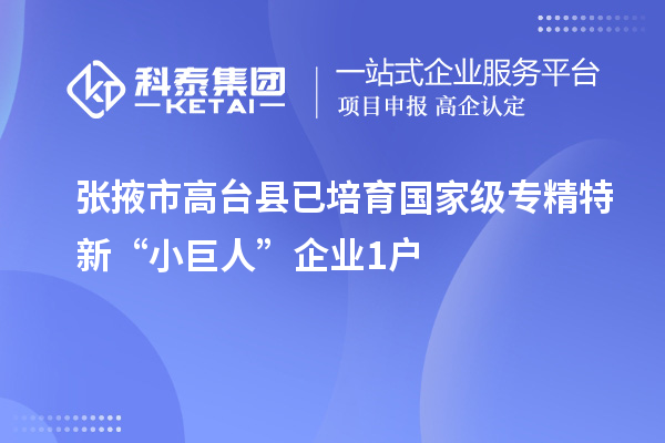 張掖市高臺縣已培育國家級專精特新“小巨人”企業(yè)1戶