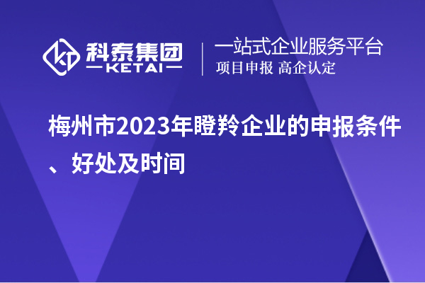 梅州市2023年瞪羚企業(yè)的申報條件、好處及時間