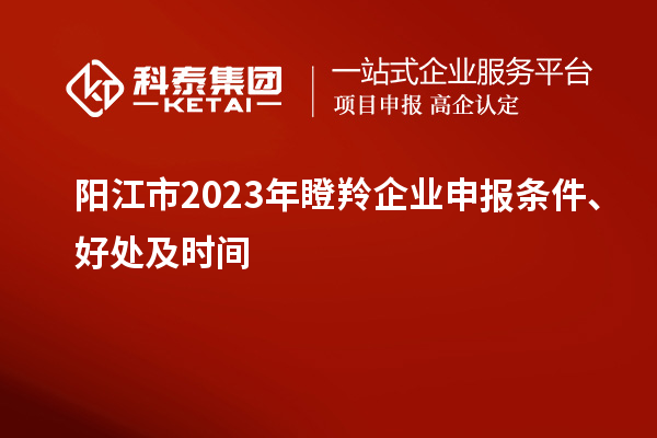 陽江市2023年瞪羚企業(yè)申報條件、好處及時間