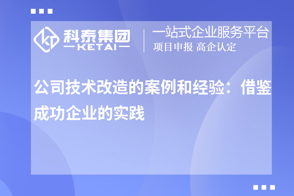 公司技術改造的案例和經(jīng)驗：借鑒成功企業(yè)的實踐