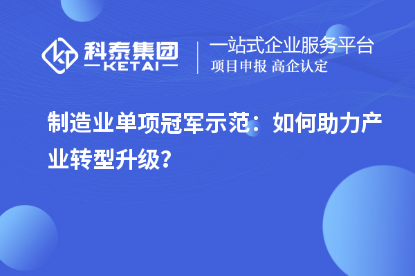 制造業(yè)單項(xiàng)冠軍示范：如何助力產(chǎn)業(yè)轉(zhuǎn)型升級？