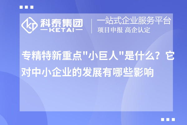 專精特新重點(diǎn)小巨人是什么？它對(duì)中小企業(yè)的發(fā)展有哪些影響