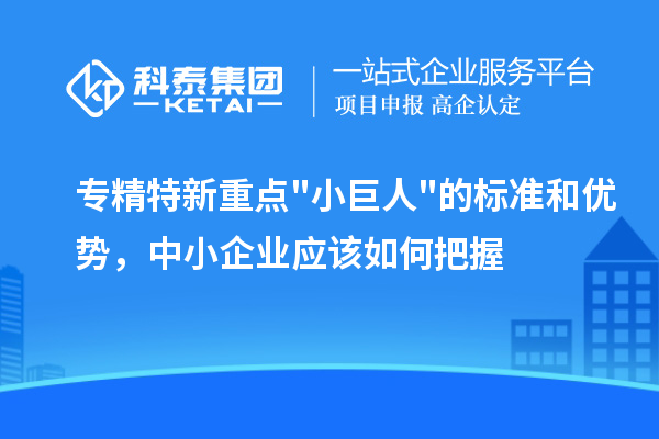 專(zhuān)精特新重點(diǎn)小巨人的標(biāo)準(zhǔn)和優(yōu)勢(shì)，中小企業(yè)應(yīng)該如何把握
