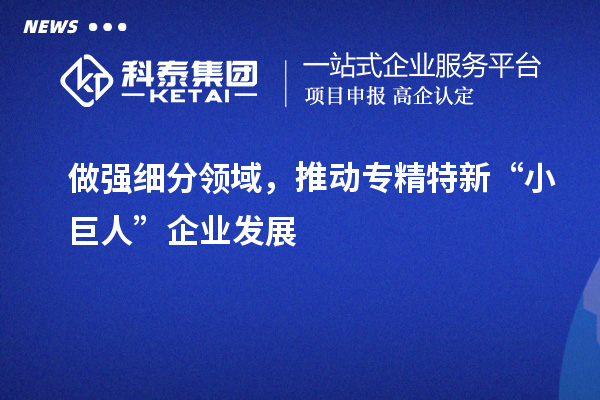 做強(qiáng)細(xì)分領(lǐng)域，推動專精特新“小巨人”企業(yè)發(fā)展