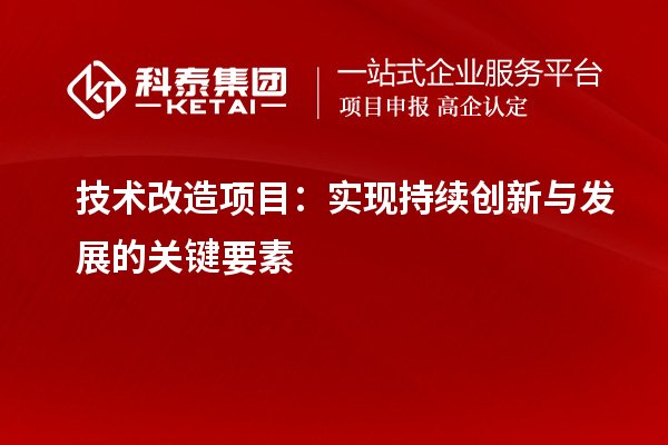 技術(shù)改造項目的核心要素：推動持續(xù)創(chuàng)新與發(fā)展的關(guān)鍵因素探討		 		