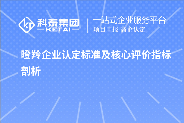 瞪羚企業(yè)認定標準及核心評價指標剖析		 		