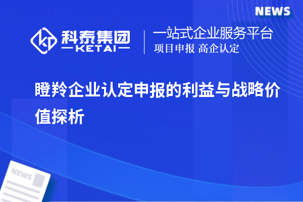瞪羚企業(yè)認(rèn)定申報(bào)的利益與戰(zhàn)略價(jià)值探析		 		