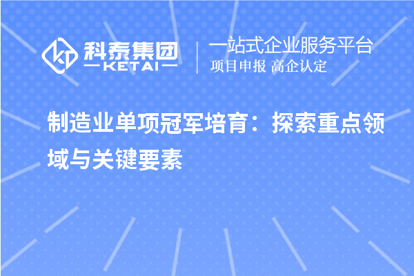 制造業(yè)單項冠軍培育：探索重點領域與關(guān)鍵要素